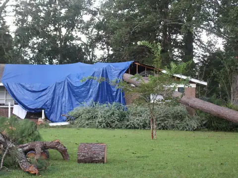 A house with a blue tarp pulled over its damaged roof, a fallen tree in the yard